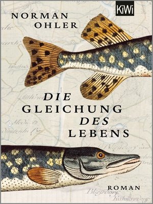 cover image of Die Gleichung des Lebens